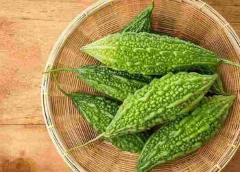 Sử dụng mướp đắng để cơ thể có hệ miễn dịch tốt