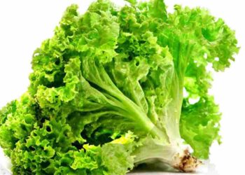 Rau này chế biến đơn giản và cung cấp nhiều chất xơ