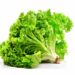 Rau này chế biến đơn giản và cung cấp nhiều chất xơ