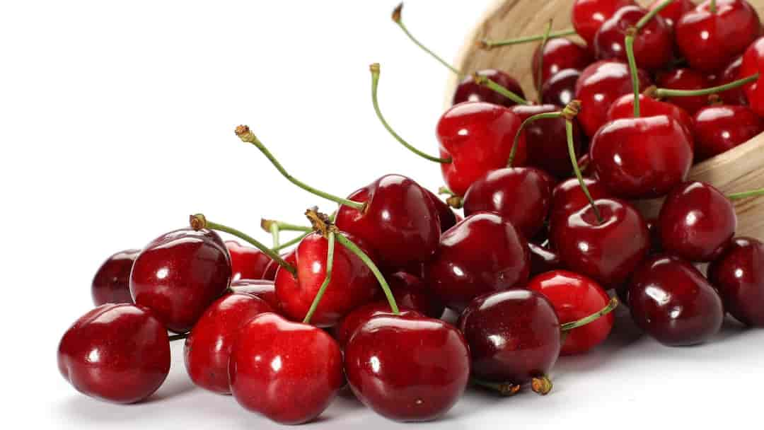 Lựa chọn quả cherry dựa vào màu sắc của trái cây này