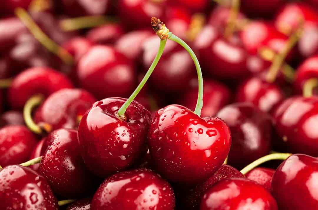 Giá quả cherry phụ thuộc vào nhiều yếu tố khác nhau