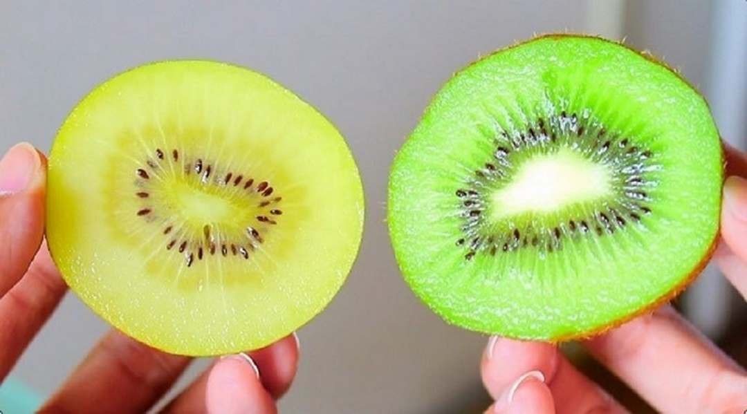 Lượng khoáng chất và vitamin trong quả Kiwi rất lớn