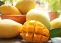 Xoài Hòa Lộc thuộc các loại xoài nổi tiếng