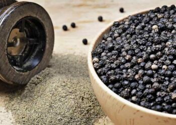 Công dụng của hạt tiêu đen