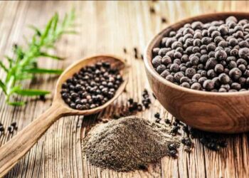 Hạt tiêu đen chữa bệnh gì bạn có biết không?
