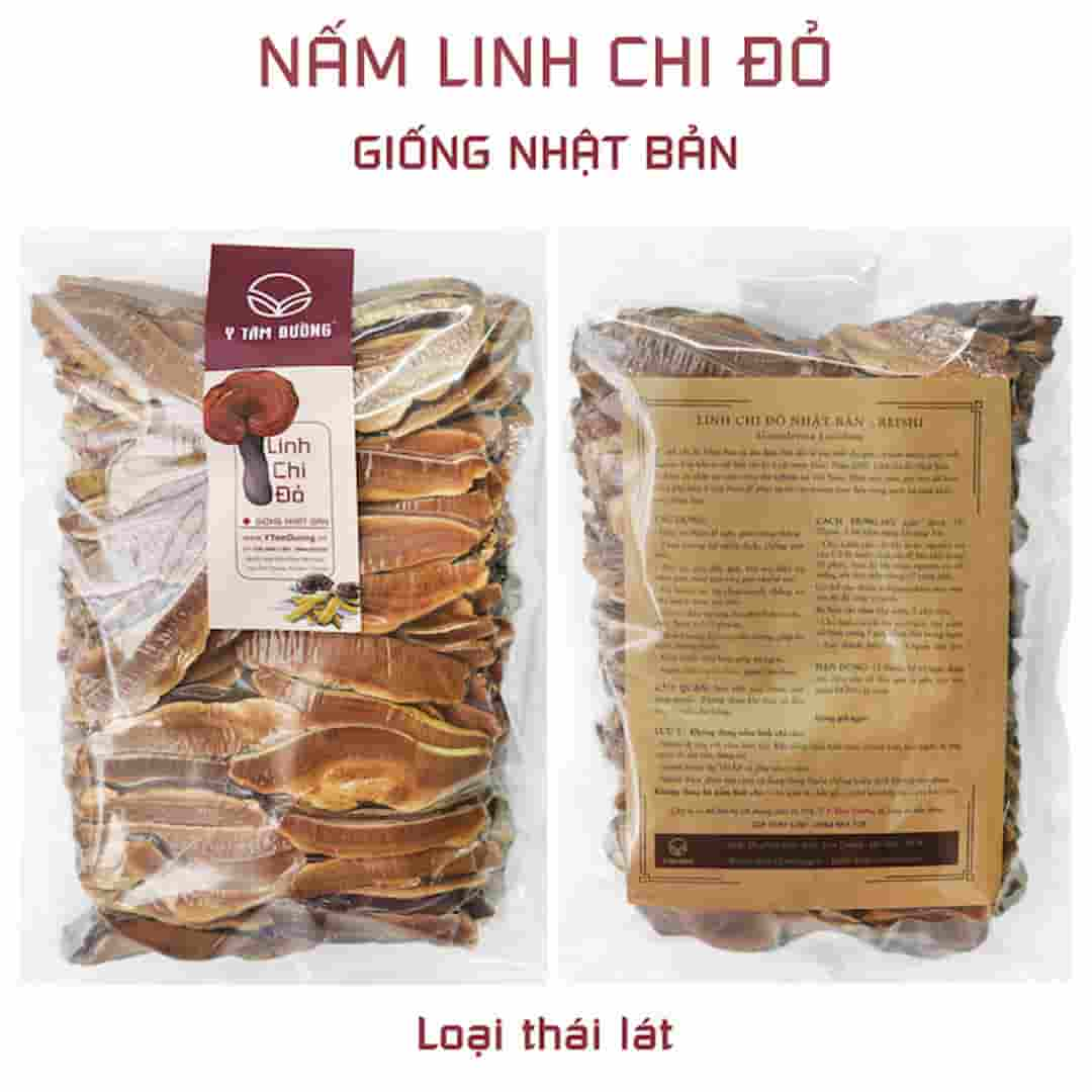 Nấm Linh Chi Nguồn Giống Nhật Bản: