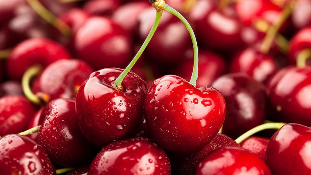 Các loại Cherry phổ biến trên thế giới được ưa chuộng nhất