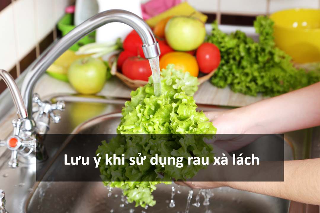 Lưu ý khi sử dụng rau xà lách cần phải biết