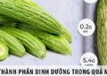 Tổng hợp Giá trị Dinh dưỡng của Mướp Đắng
