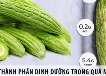 Tổng hợp Giá trị Dinh dưỡng của Mướp Đắng