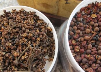 Lưu ý khi sử dụng hạt mắc khén