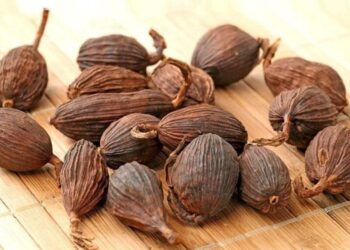 Thảo quả giúp hỗ trợ chữa bệnh