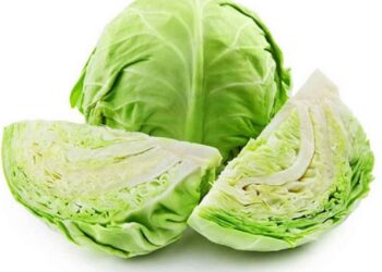 Bắp cải là loại rau rất phổ biến và được nhiều người ưa chuộng