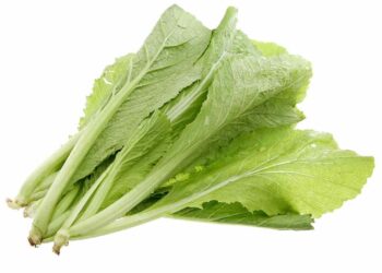 Cải bẹ xanh rất tốt nhưng không nên sử dụng quá nhiều