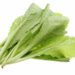 Cải bẹ xanh rất tốt nhưng không nên sử dụng quá nhiều