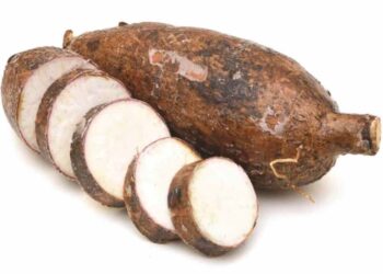 Củ sắn có tác dụng tuyệt vời hỗ trợ điều trị bệnh tiểu đường