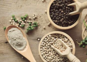 Hồ tiêu là gia vị với vị cay hấp dẫn rất được ưa chuộng