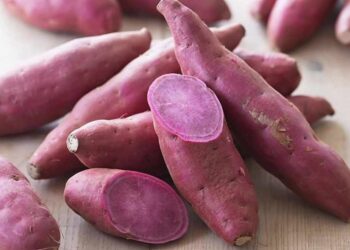 Sử dụng khoai lang tím mang lại cho người dùng nhiều công dụng