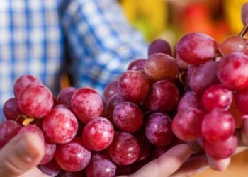 Nho có tác dụng thần kỳ đối với sức khỏe tim mạch