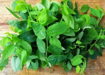 Lưu ý khi sử dụng quá nhiều