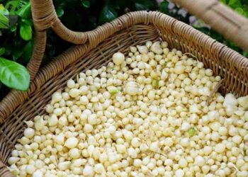 Củ nén được sử dụng rất phổ biến tại khu vực miền Trung 