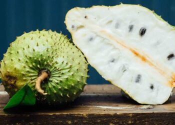 Mãng cầu là loại quả được trồng rất phổ biến tại Việt Nam hiện nay