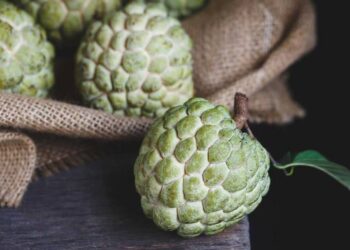 Quả na xuất hiện trong cuộc sống thường ngày