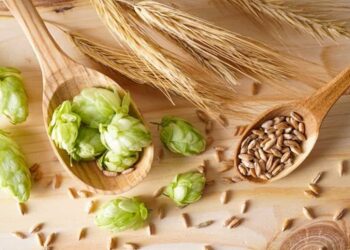 Ăn lúa mạch có giảm cân không?