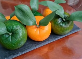 Cách làm bánh bao quả cam tại nhà