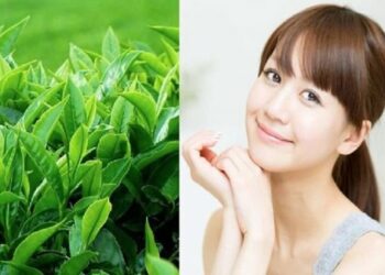 Cách làm trắng da bằng lá trà xanh