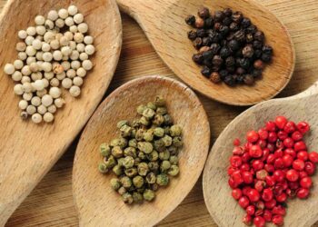 Phân biệt các loại hạt tiêu
