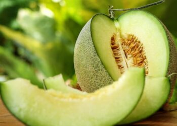 Các giống dưa lưới phổ biến hiện nay có thể bạn chưa biết