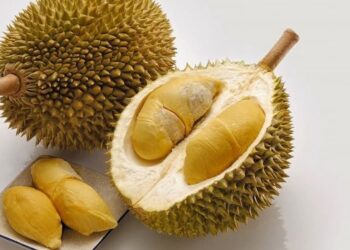 Cách chọn sầu riêng ngon nhất, nhiều múi, không thuốc ép chín