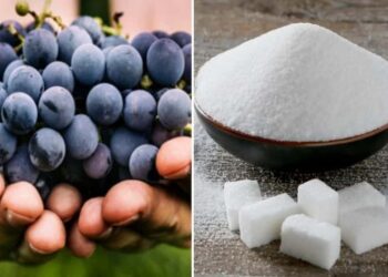 cách làm rượu nho