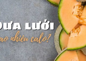 Dưa lưới bao nhiêu calo? Ăn dưa lưới có mập không?