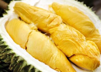 Sầu riêng bao nhiêu calo? Ăn sầu riêng có béo không?