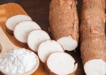 Trong củ sắn có chứa chất gì