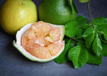 1 quả bưởi bao nhiêu calo? Ăn bưởi có giảm được cân không?