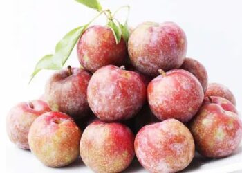 2 cách làm mứt mận siêu ngon tại nhà cùng vào bếp ngay