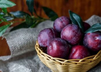 Mách bạn cách làm siro mận thơm ngon cho bé giải nhiệt mùa nắng