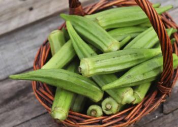 Đậu bắp bao nhiêu Calo? Chia sẻ 6 cách ăn đậu bắp giảm cân