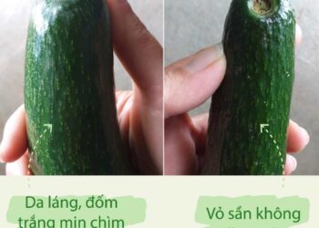 Cách chọn Bơ 034 với các yếu tố cần thiết