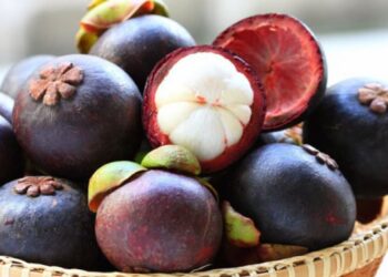 Cách làm gỏi gà măng cụt