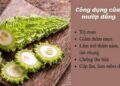 Các công dụng sức khỏe của Mướp Đắng